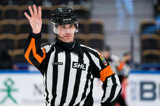 Domare Richard Magnusson
