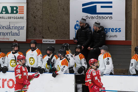 Brynäs tränare Henrik Glaas och Filip Eriksson