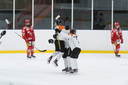 Brynäs Sara Cajanova, Denisa Krizova och Maja