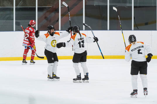 Brynäs Sara Cajanova och Denisa Krizova jublar