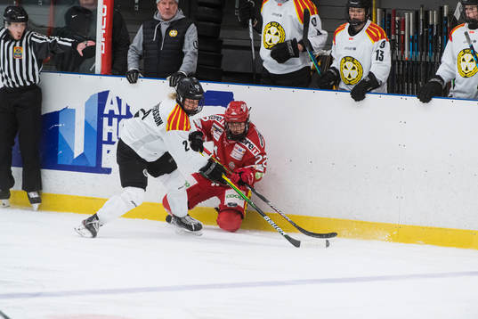 Brynäs Maja Nylen-Persson och Modos Jaycee Magwood