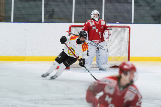 Brynäs Denisa Krizovaoch