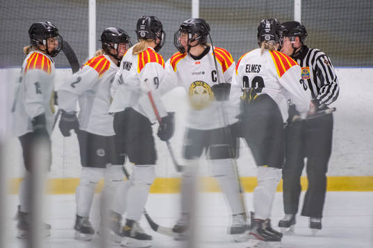 Brynäs Josefin Bouveng jublar med lagkamrater