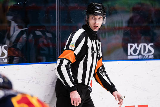 Domare Mikael Andersson
