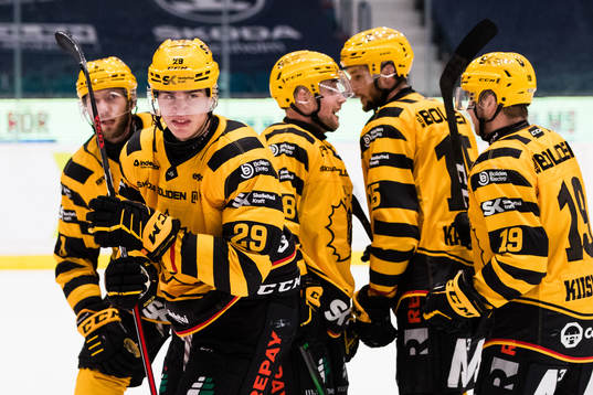 Skellefteås Albin Sundsvik jublar