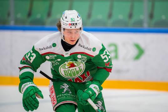 Rögles Moritz Seider