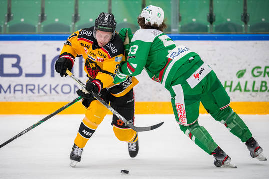 Luleås Juhani Tyrväinen och Rögles Moritz Seider