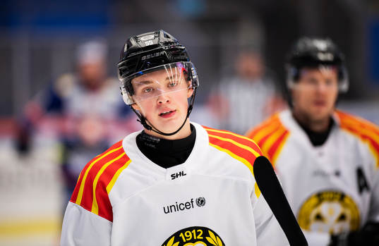 Brynäs Noel Gunler deppar