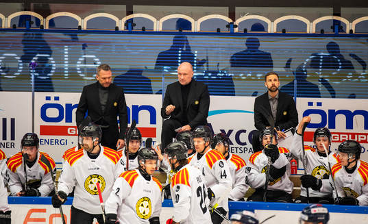 Brynäs tränare Peter Andersson
