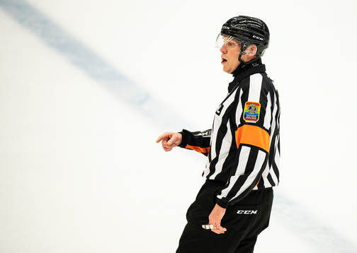 Domare Morgan Johansson