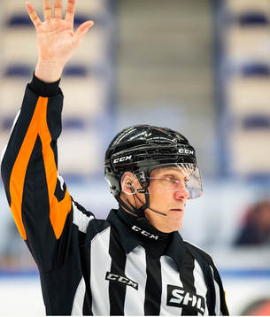 Domare Morgan Johansson