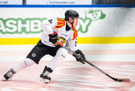 Brynäs Tomi Sallinen