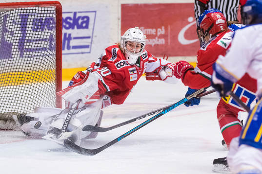 Modos målvakt Viktorije Svejdova