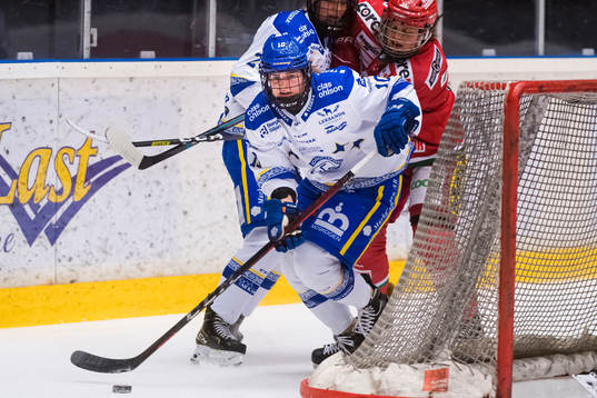 Leksands Shea Demale