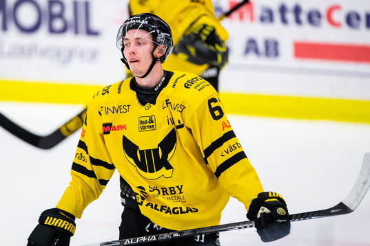 Västerås Gabriel Kangas
