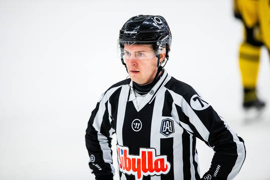 Domare Viktor Hafsäter