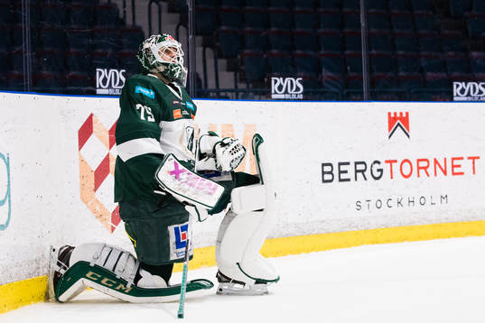 Färjestads målvakt Arvid Holm