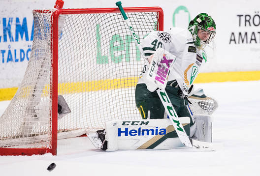Färjestads målvakt Henrik Haukeland