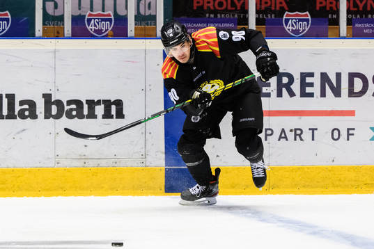 Brynäs Shane Harper