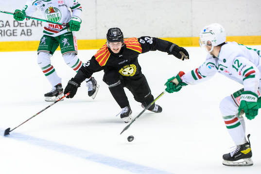 Brynäs Tom Hedberg