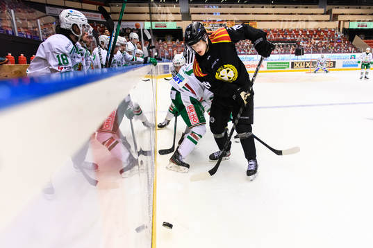 Brynäs Daniel Mannberg