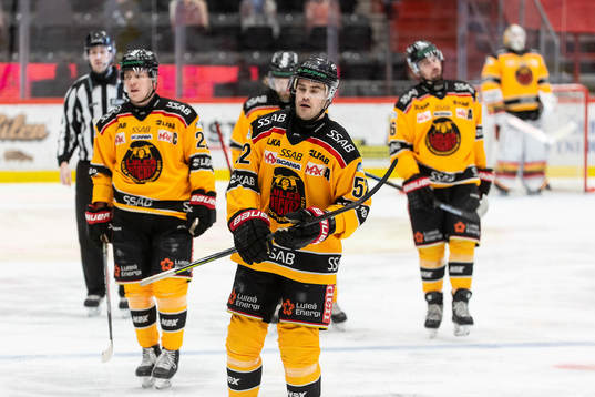 Luleås Karl Fabricius deppar
