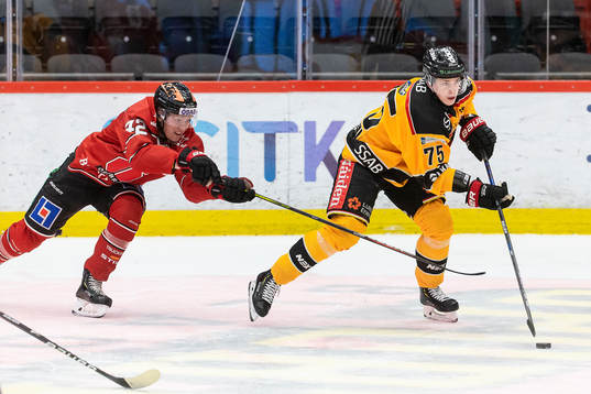 Örebros Robin Salo och Luleås Arttu Ilomäki