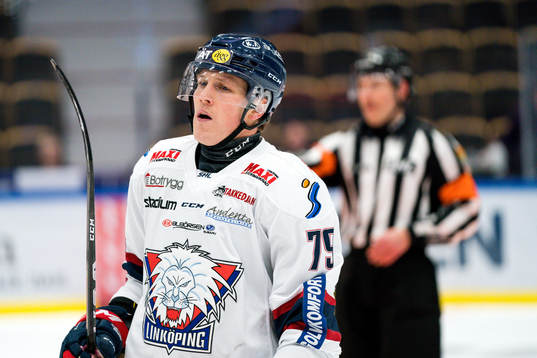 Linköpings Patrik Lundh deppar
