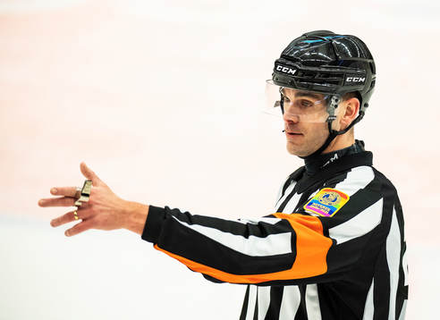 Domare Richard Magnusson