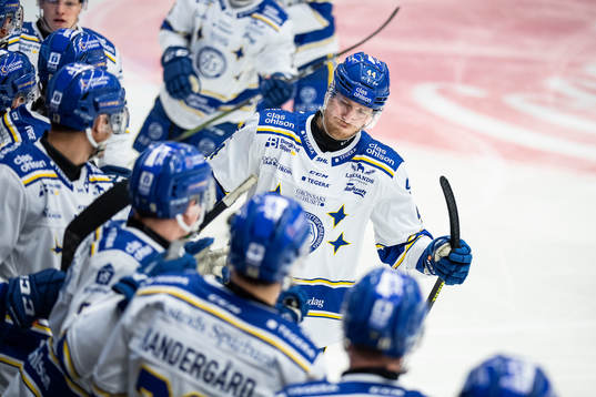 Leksands Carter Ashton jublar