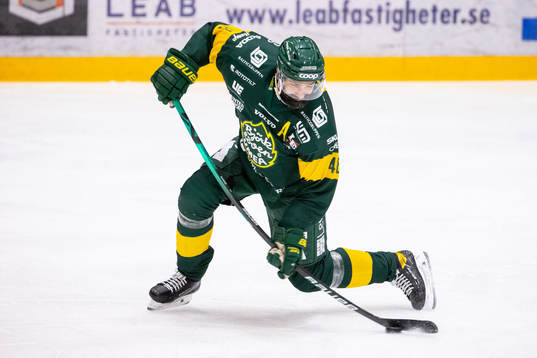 Björklövens Daniel Rahimi