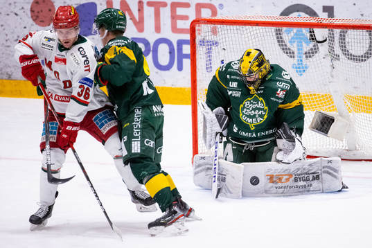 Björklövens målvakt Marcus Johansson