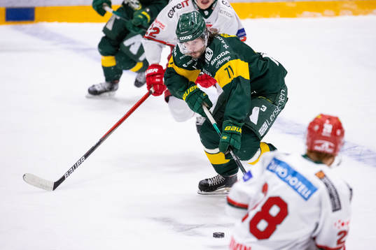 Björklövens Gustav Possler