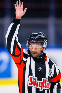 Domare Fredrik Rönnberg