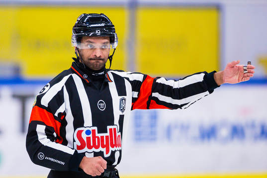 Domare Fredrik Rönnberg