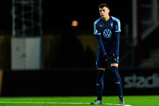 Malmö FFs Anel Ahmedhodzic
