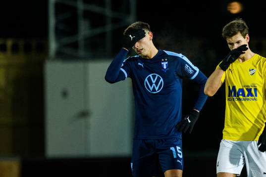 Malmö FFs Anel Ahmedhodzic