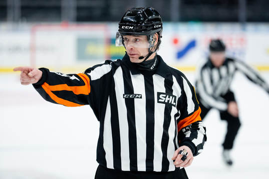 Domare Mikael Andersson