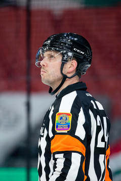 Domare Johan Magnusson