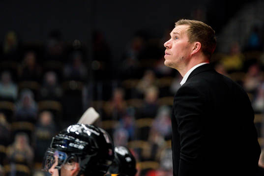 Skellefteås tränare Andreas Falk