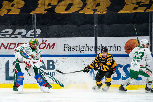 Rögles målvakt Christoffer Rifalk och Skellefteås Darren