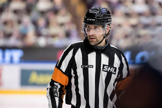 Domare Mikael Sjöqvist
