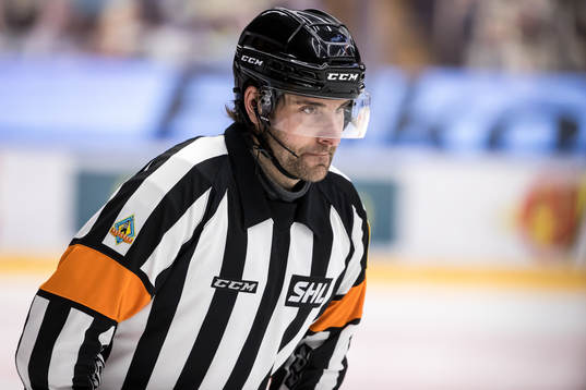 Domare Mikael Sjöqvist