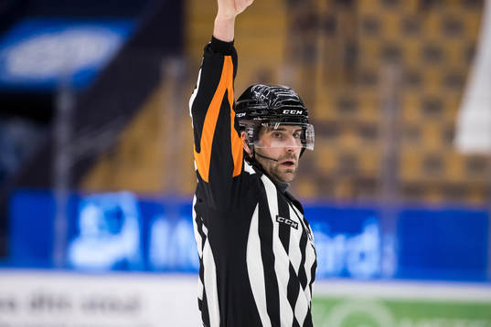 Domare Mikael Sjökvist