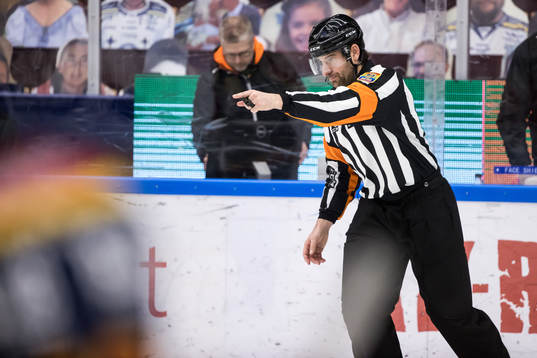 Domare Mikael Sjöqvist