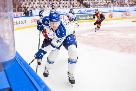 Leksands Carter Ashton
