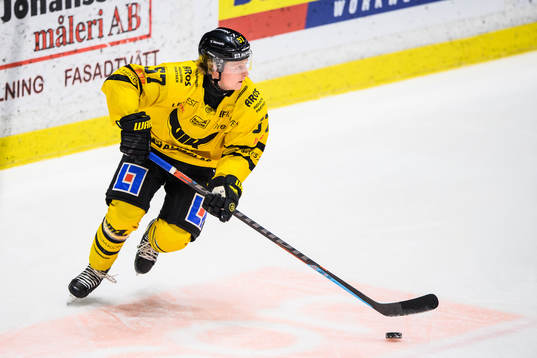 Västerås Carl Ehrnberg