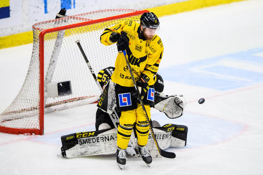 s målvakt Claes Endre