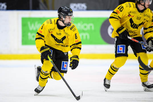 Västerås Gabriel Kangas
