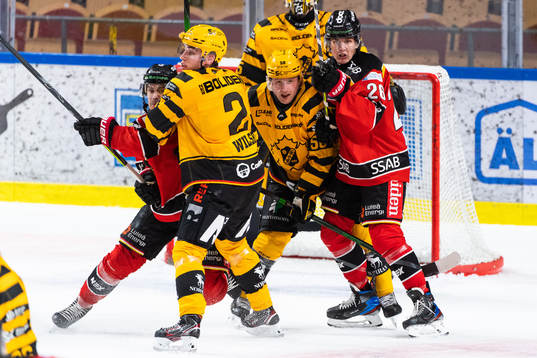 Luleås Karl Fabricius, Skellefteås Adam Wilsby och Oskar
